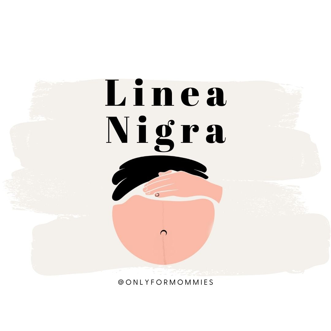 Linea Nigra